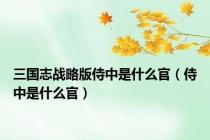 三国志战略版侍中是什么官（侍中是什么官）