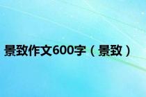 景致作文600字（景致）