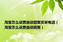 淘宝怎么设置自动回复卖家电话（淘宝怎么设置自动回复）