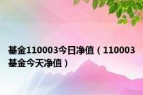 基金110003今日净值（110003基金今天净值）