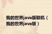 我的世界java版联机（我的世界java版）