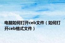 电脑如何打开ceb文件（如何打开ceb格式文件）