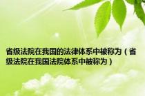 省级法院在我国的法律体系中被称为（省级法院在我国法院体系中被称为）