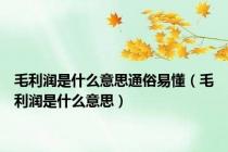 毛利润是什么意思通俗易懂（毛利润是什么意思）