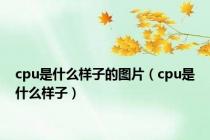 cpu是什么样子的图片（cpu是什么样子）