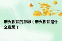 厝火积薪的意思（厝火积薪是什么意思）