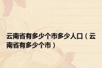 云南省有多少个市多少人口（云南省有多少个市）