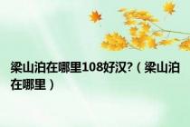 梁山泊在哪里108好汉?（梁山泊在哪里）