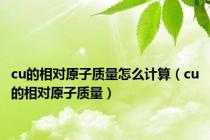 cu的相对原子质量怎么计算（cu的相对原子质量）