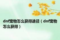 dnf宠物怎么获得途径（dnf宠物怎么获得）