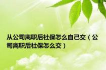 从公司离职后社保怎么自己交（公司离职后社保怎么交）