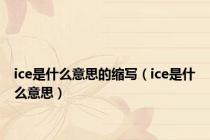 ice是什么意思的缩写（ice是什么意思）