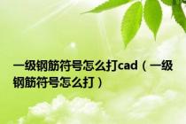 一级钢筋符号怎么打cad（一级钢筋符号怎么打）