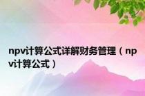 npv计算公式详解财务管理（npv计算公式）