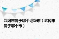 武冈市属于哪个地级市（武冈市属于哪个市）