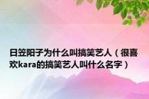 日笠阳子为什么叫搞笑艺人（很喜欢kara的搞笑艺人叫什么名字）