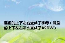 键盘的上下左右变成了字母（键盘的上下左右怎么变成了ASDW）