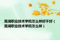 芜湖职业技术学院怎么样好不好（芜湖职业技术学院怎么样）