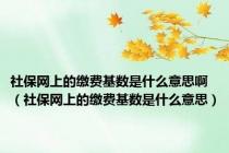 社保网上的缴费基数是什么意思啊（社保网上的缴费基数是什么意思）