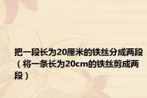 把一段长为20厘米的铁丝分成两段（将一条长为20cm的铁丝剪成两段）