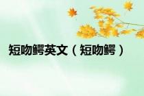 短吻鳄英文（短吻鳄）