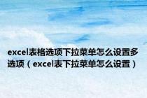 excel表格选项下拉菜单怎么设置多选项（excel表下拉菜单怎么设置）