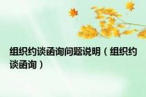 组织约谈函询问题说明（组织约谈函询）