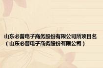 山东必普电子商务股份有限公司所项目名（山东必普电子商务股份有限公司）