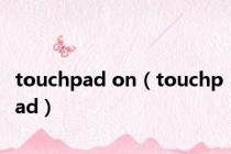 touchpad on（touchpad）