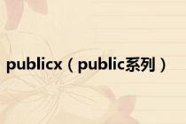 publicx（public系列）