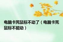 电脑卡死鼠标不动了（电脑卡死鼠标不能动）