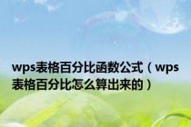 wps表格百分比函数公式（wps表格百分比怎么算出来的）