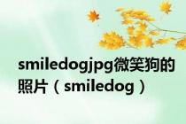 smiledogjpg微笑狗的照片（smiledog）