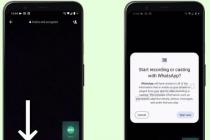 适用于Android的WhatsApp为视频通话带来了惊人的消息