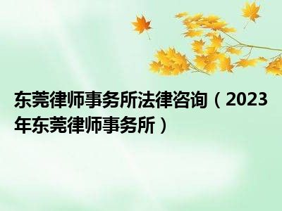 东莞律师事务所法律咨询（2023年东莞律师事务所）