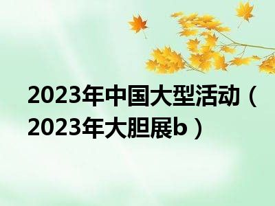 2023年中国大型活动（2023年大胆展b）
