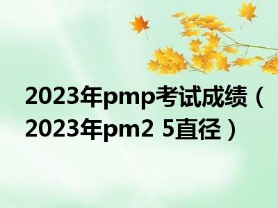 2023年pmp考试成绩（2023年pm2 5直径）