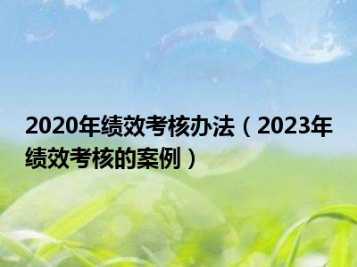 2020年绩效考核办法（2023年绩效考核的案例）