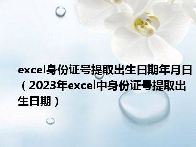 excel身份证号提取出生日期年月日（2023年excel中身份证号提取出生日期）