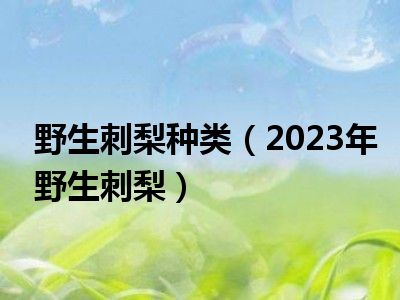 野生刺梨种类（2023年野生刺梨）