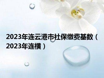 2023年连云港市社保缴费基数（2023年连横）