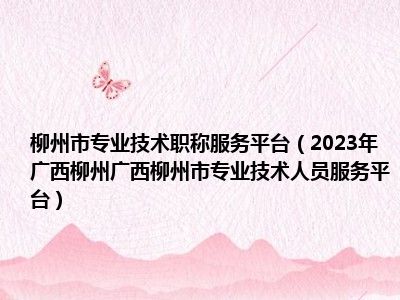 柳州市专业技术职称服务平台（2023年广西柳州广西柳州市专业技术人员服务平台）