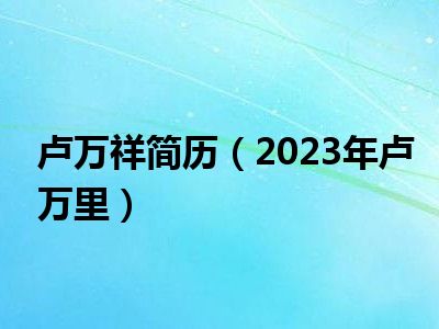 卢万祥简历（2023年卢万里）