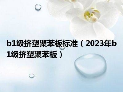 b1级挤塑聚苯板标准（2023年b1级挤塑聚苯板）