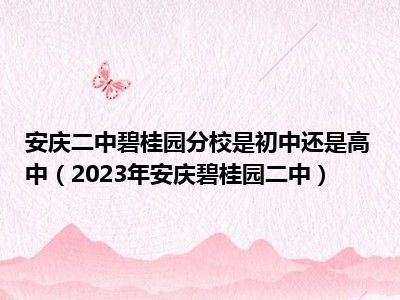 安庆二中碧桂园分校是初中还是高中（2023年安庆碧桂园二中）