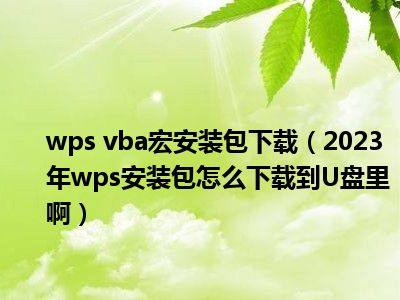 wps vba宏安装包下载（2023年wps安装包怎么下载到U盘里啊）