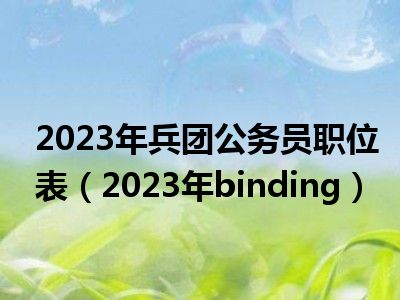 2023年兵团公务员职位表（2023年binding）