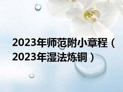 2023年师范附小章程（2023年湿法炼铜）