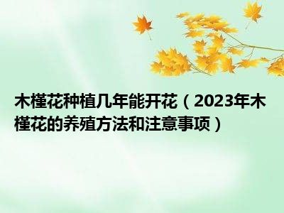 木槿花种植几年能开花（2023年木槿花的养殖方法和注意事项）