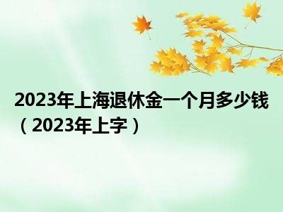 2023年上海退休金一个月多少钱（2023年上字）